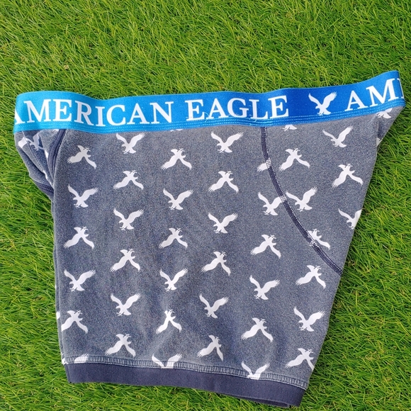 Excellent Used Condition Men's AMERICAN EAGLE blue logo boxer briefs size XL. - Picture 2 of 9